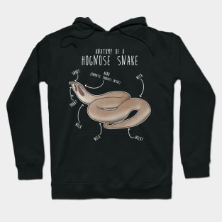 Superconda Hognose Snake Anatomy Anaconda Hoodie